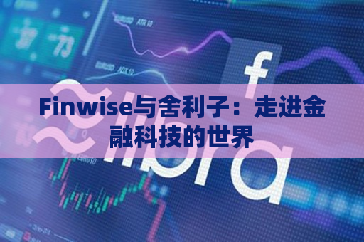 Finwise与舍利子：走进金融科技的世界