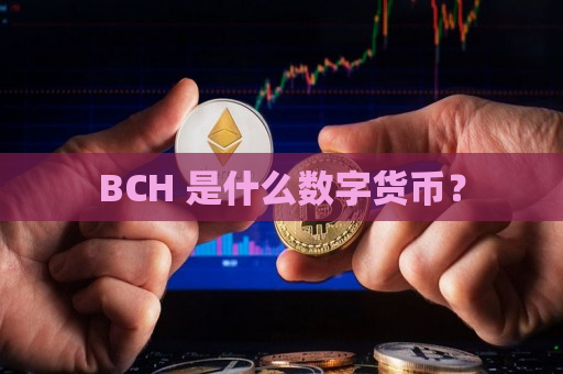 BCH 是什么数字货币？