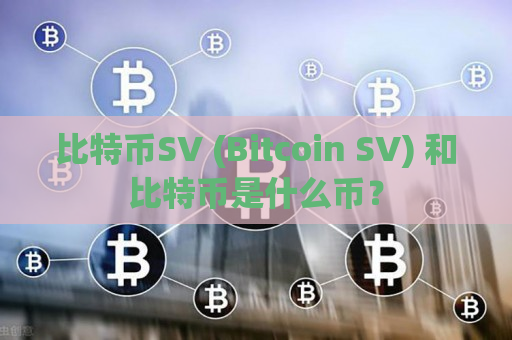 比特币SV (Bitcoin SV) 和比特币是什么币？